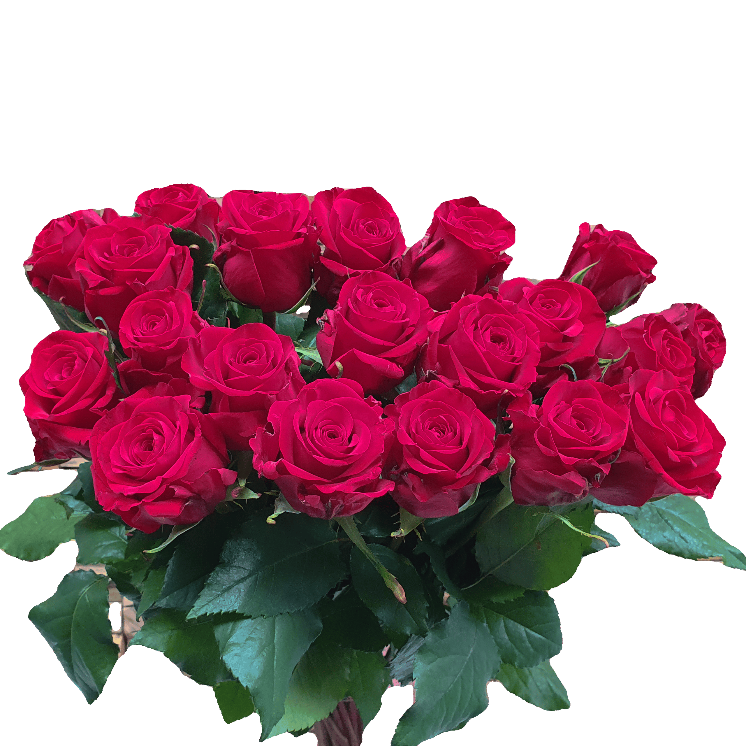 Klassiek rood