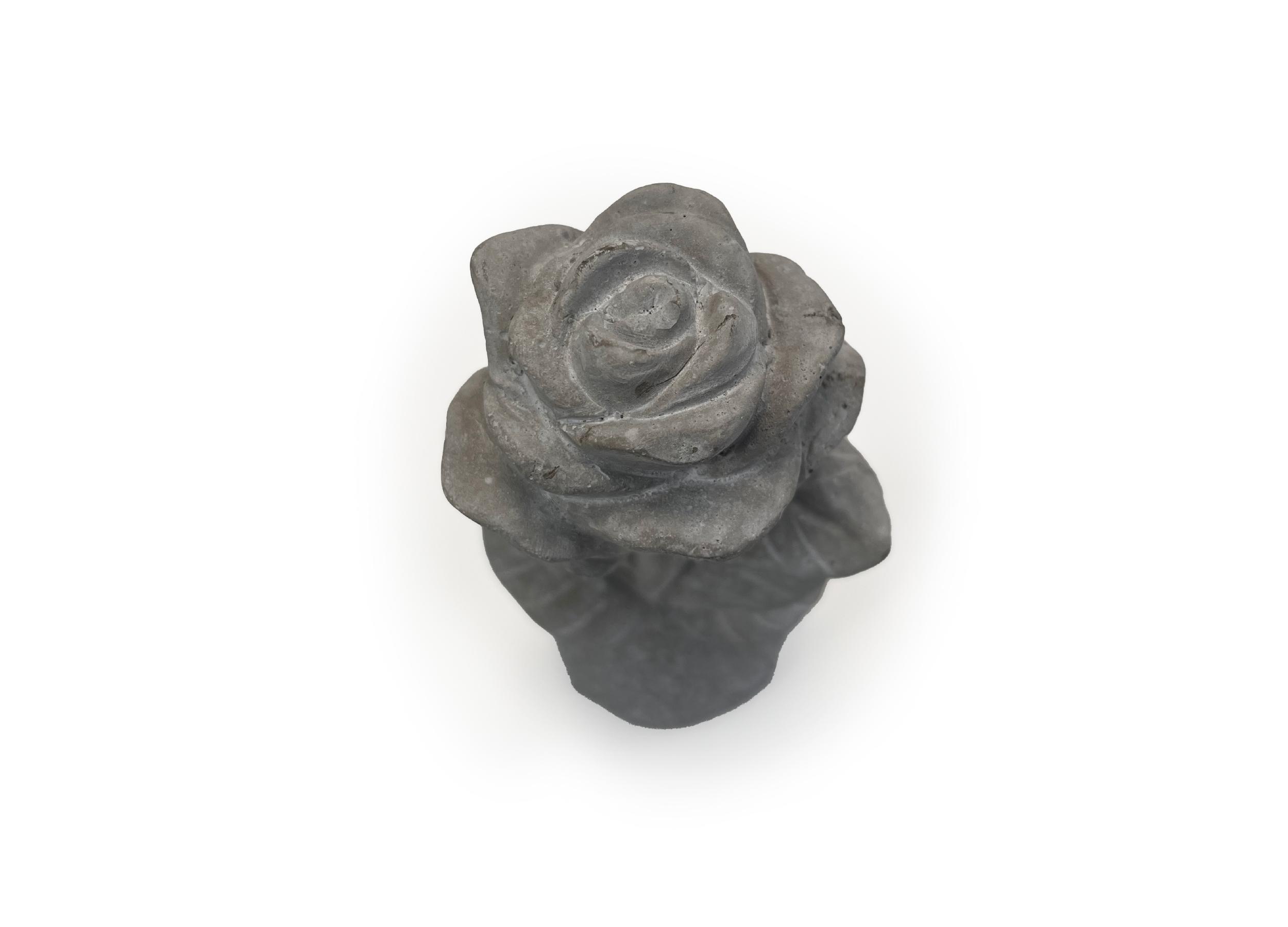 Stenen roos - afbeelding 2