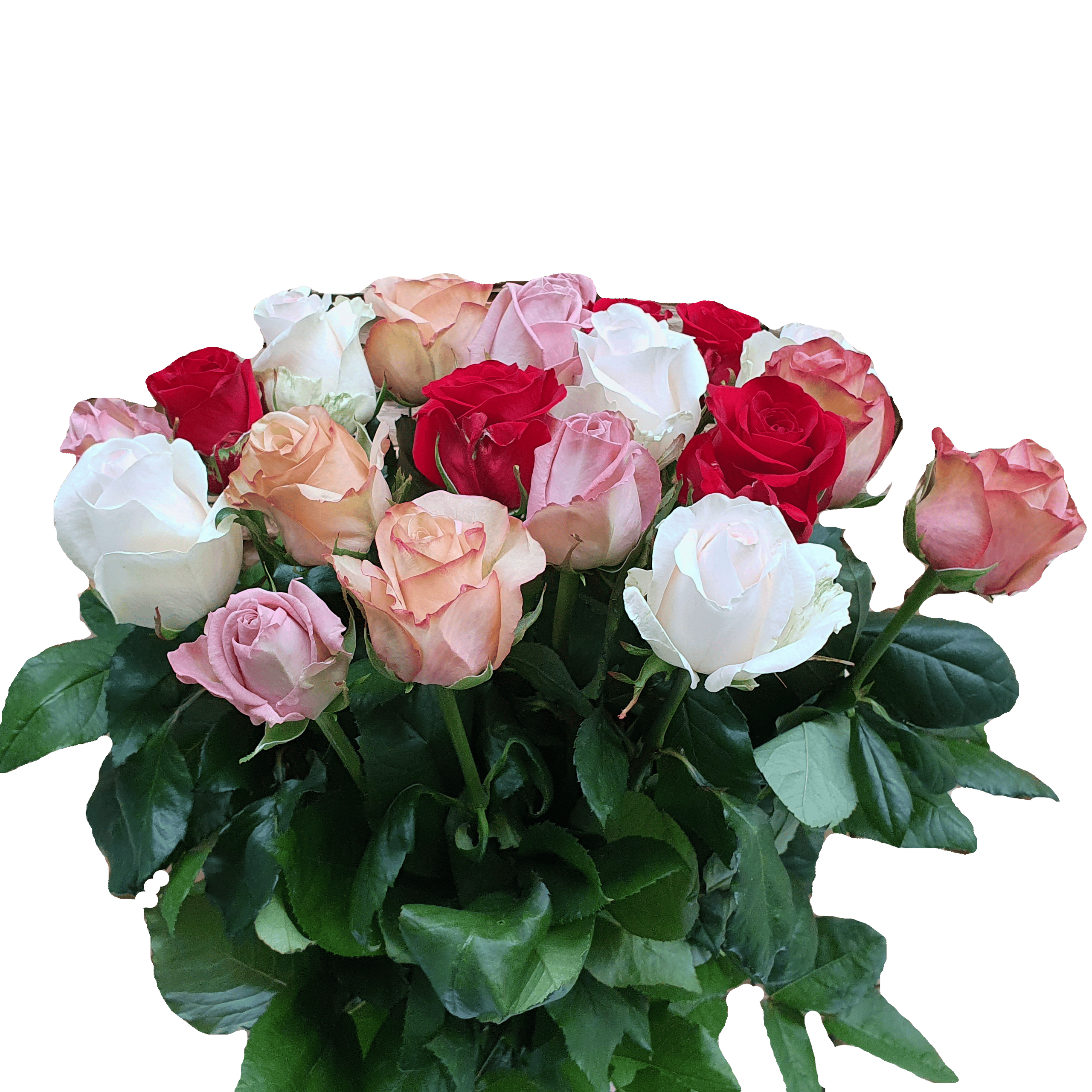 Zacht roze