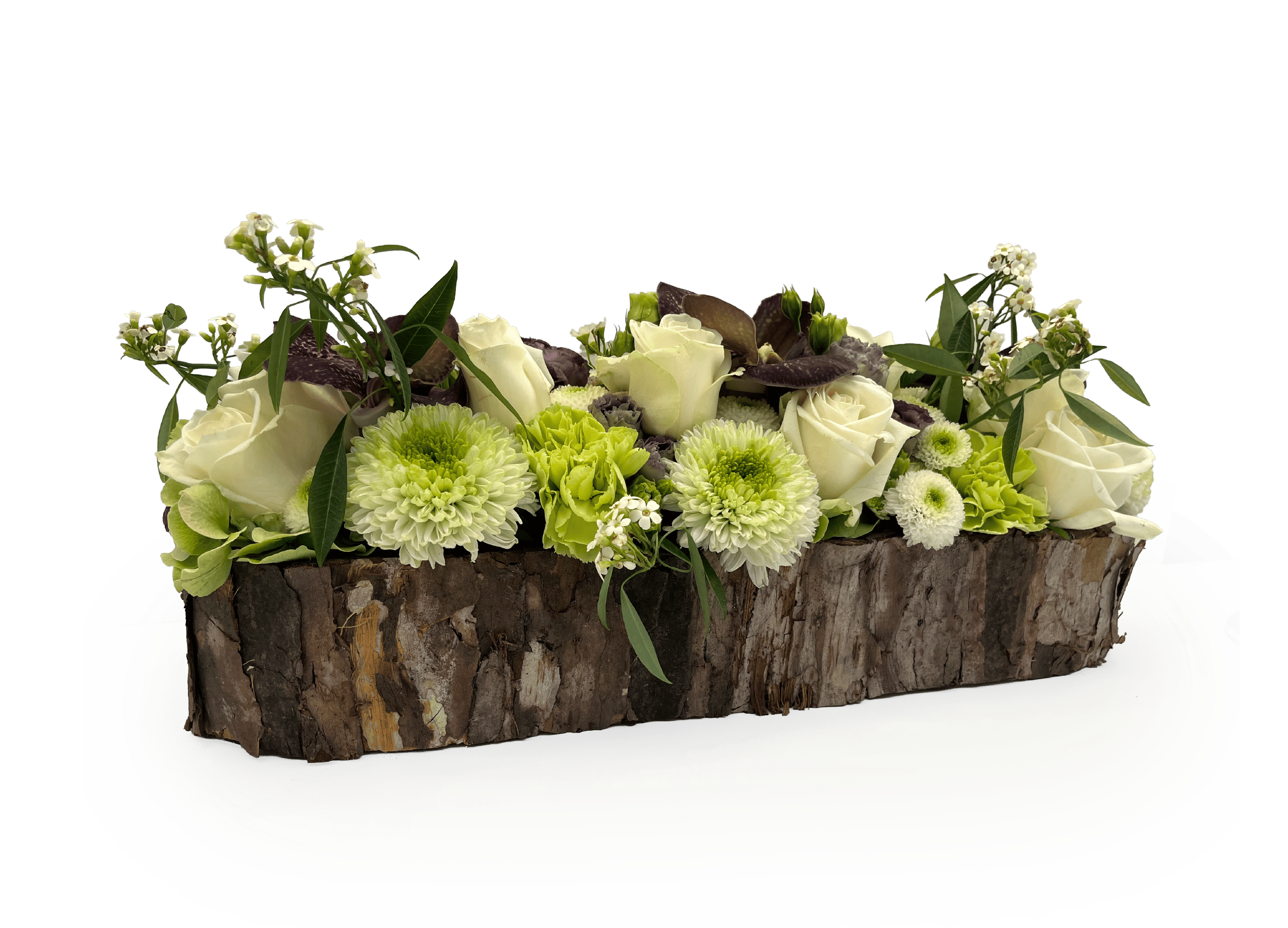 Langewerpige pot druivenbladeren groot